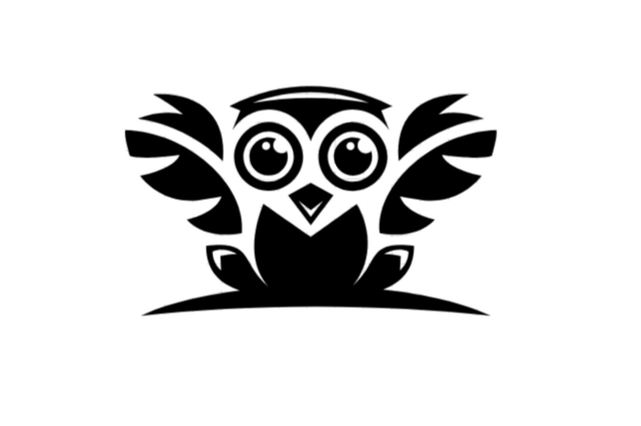 Quirky Owl Studio