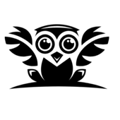 Quirky Owl Studio