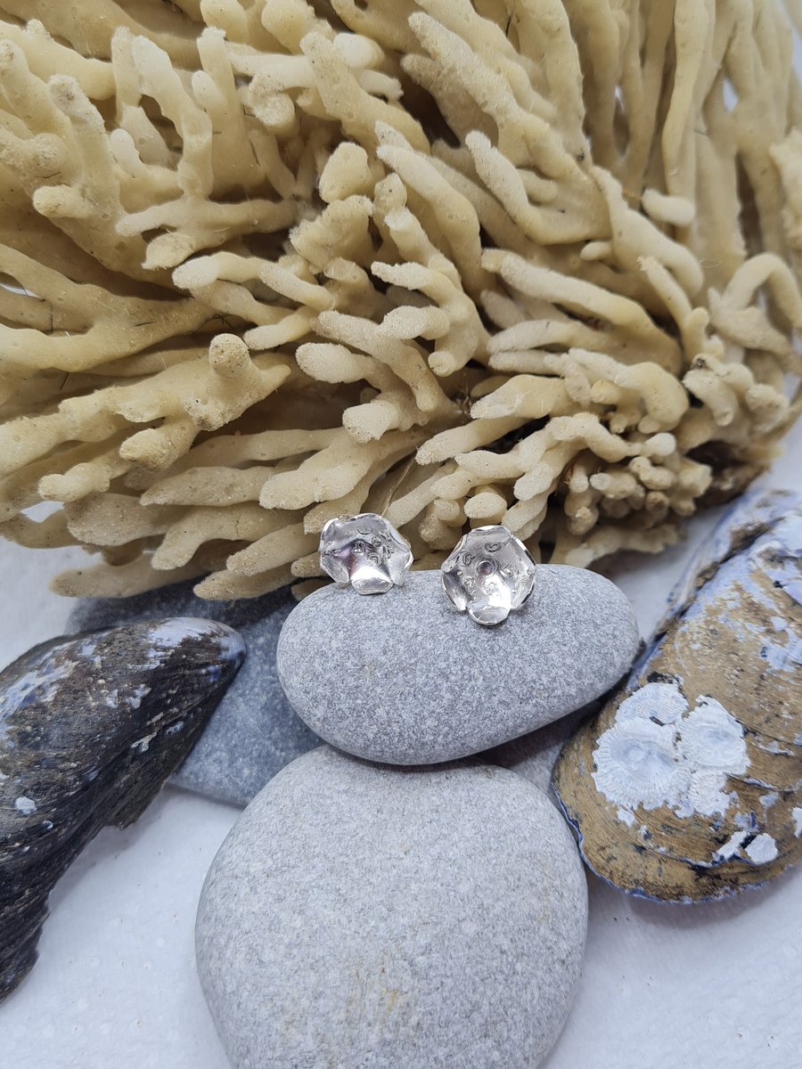 Rose Silver earrings