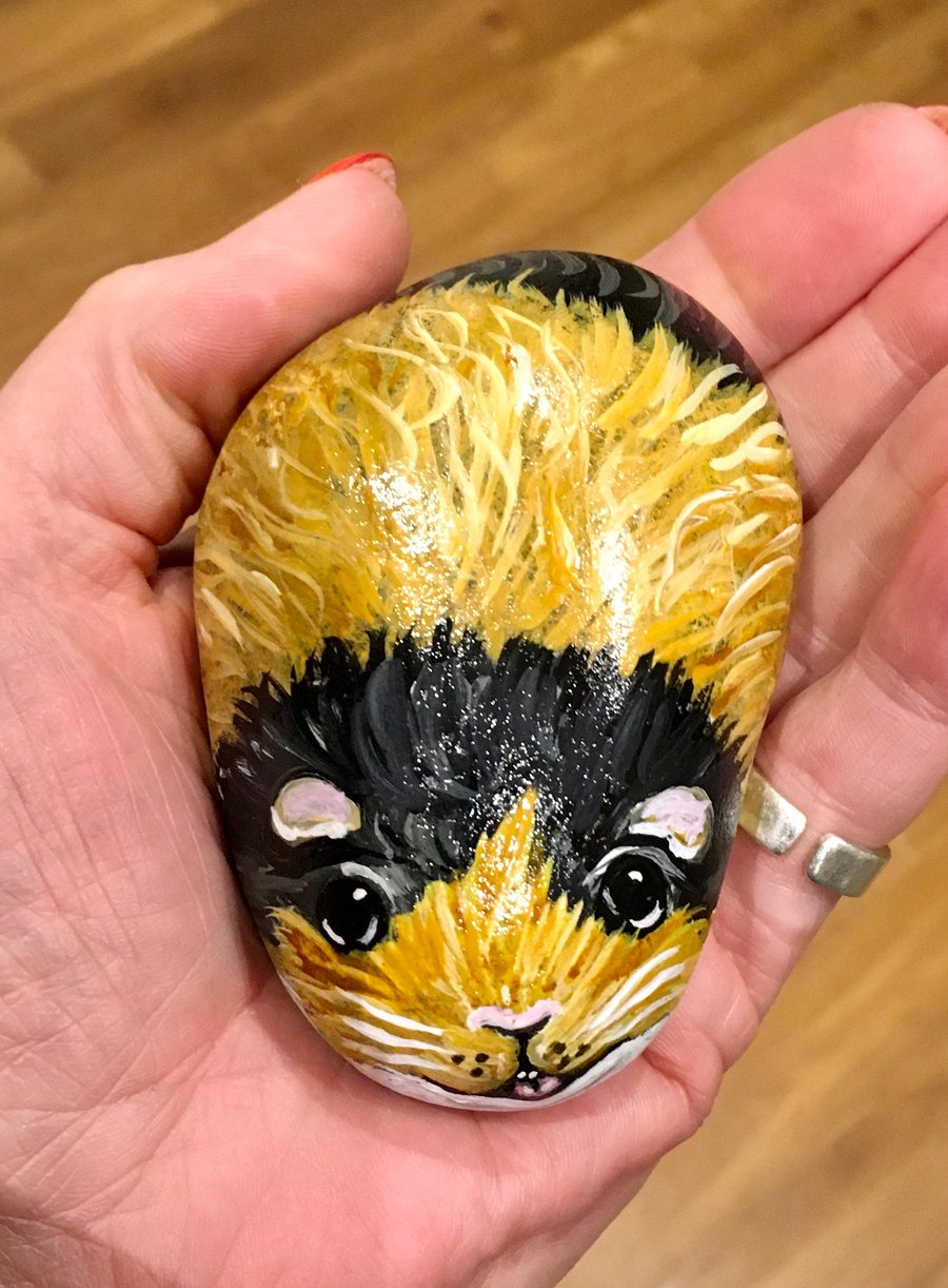 Guinea pig hand painted pebble garden rock art pet stone 
