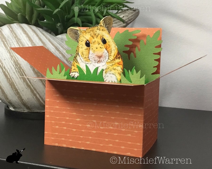 Hamster 3D Box Card. Blank or personalised for birthday, Mother’s Day, Easter