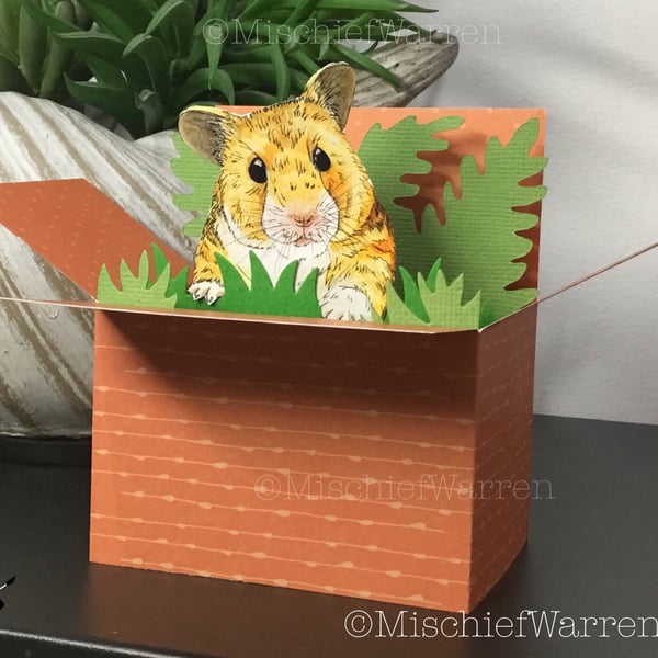 Hamster 3D Box Card. Blank or personalised for birthday, Mother’s Day, Easter