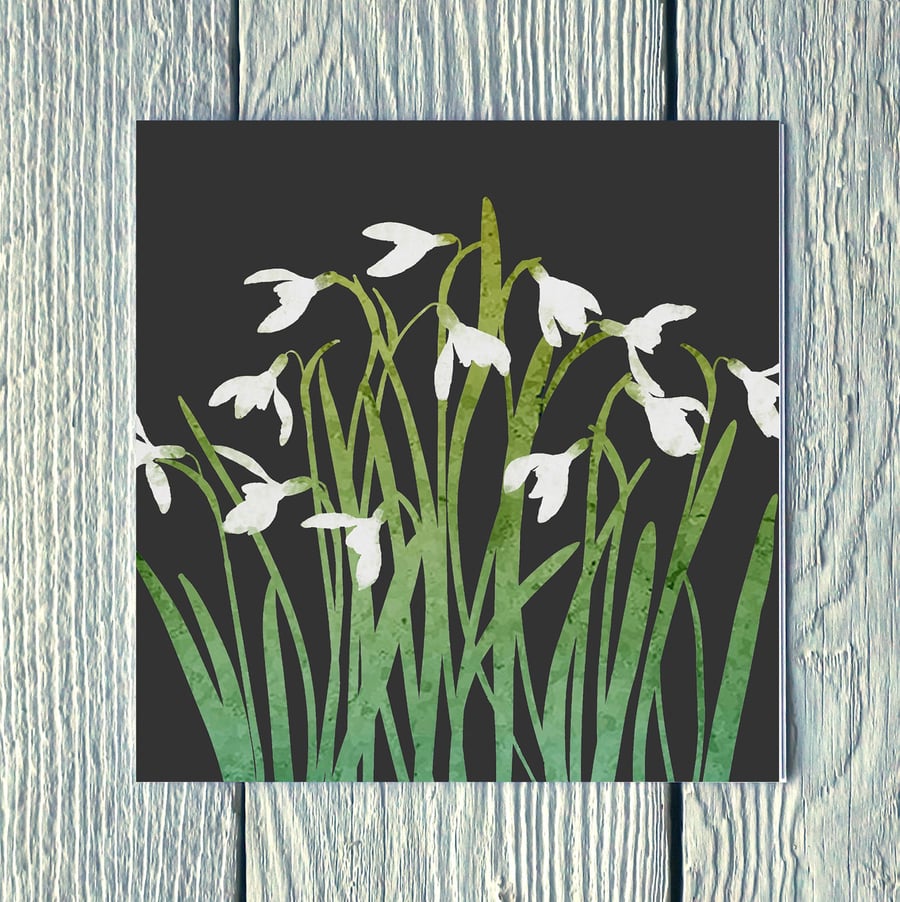 Snowdrops, Greetings Card