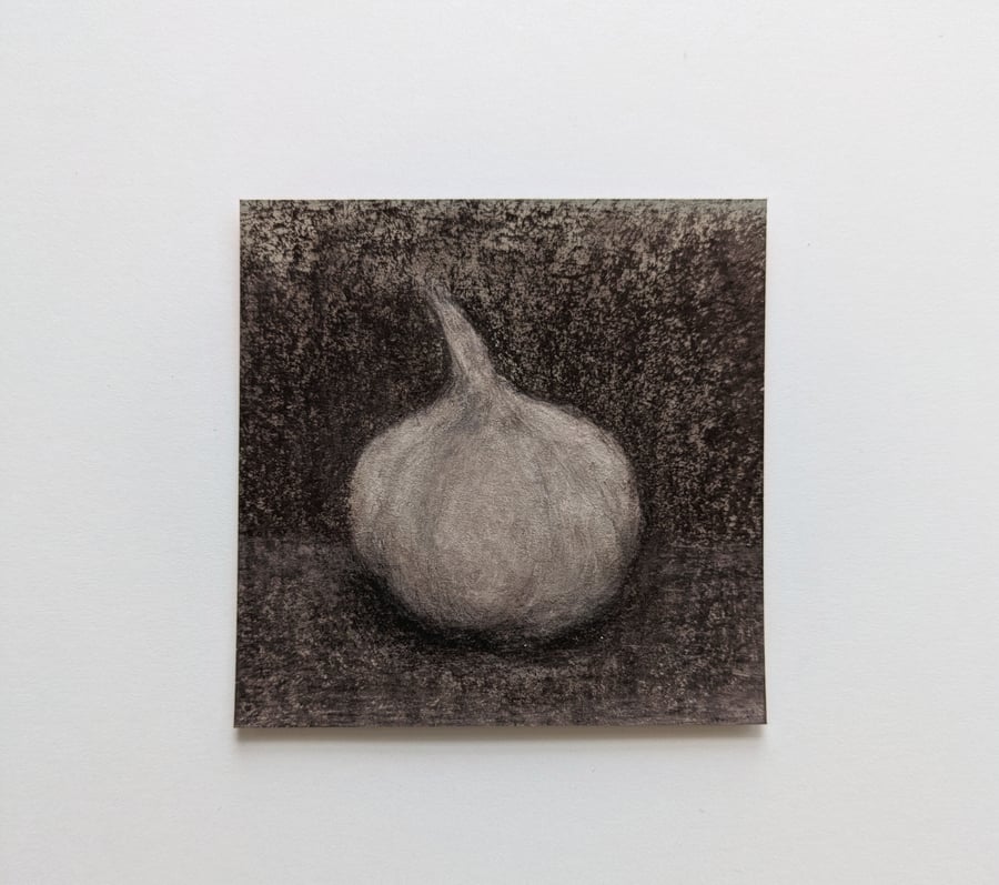 Garlic Original Drawing - Small Kitchen Wall Art 