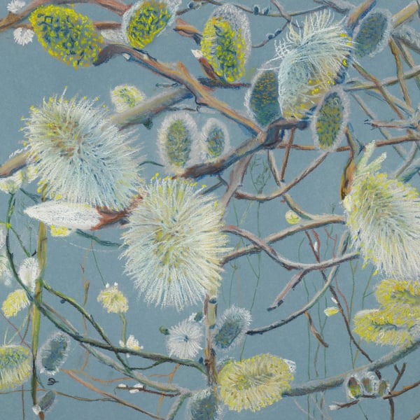 Willow flower card with blue background