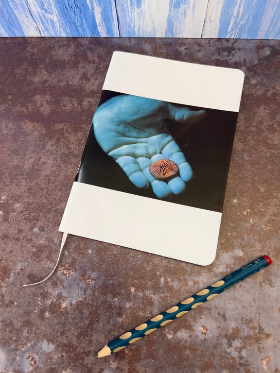 Notebook, Marine themed, A5 (ish), made from up-cycled and recycled materials.