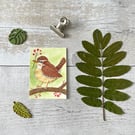 Wren bird Miniature Original ACEO painting - One of a kind