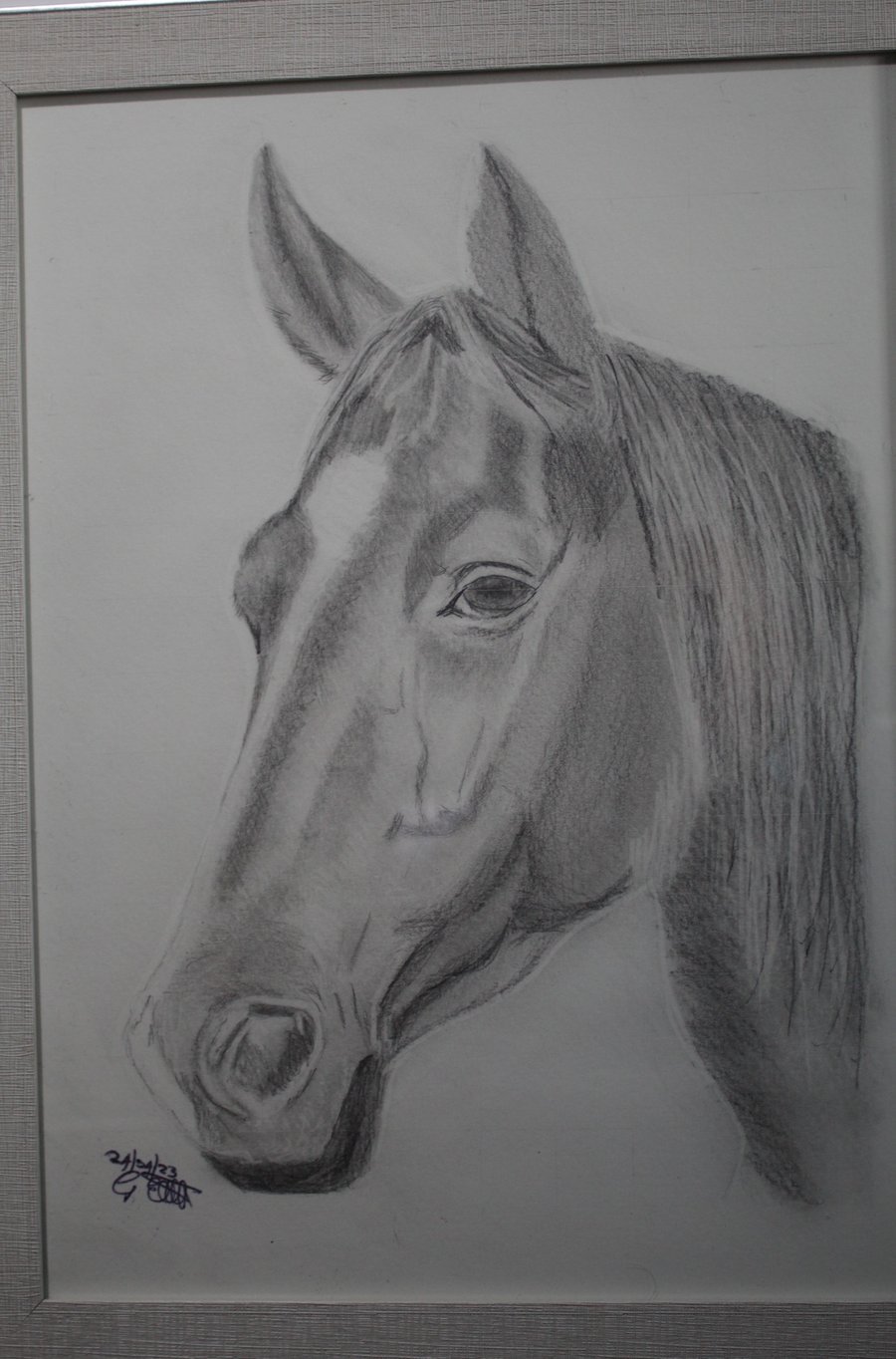 Graphte drawing of a horse head in a frame