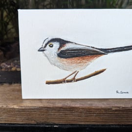 Long-Tailed Tit Painting 