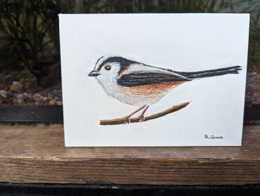 Long-Tailed Tit Painting 