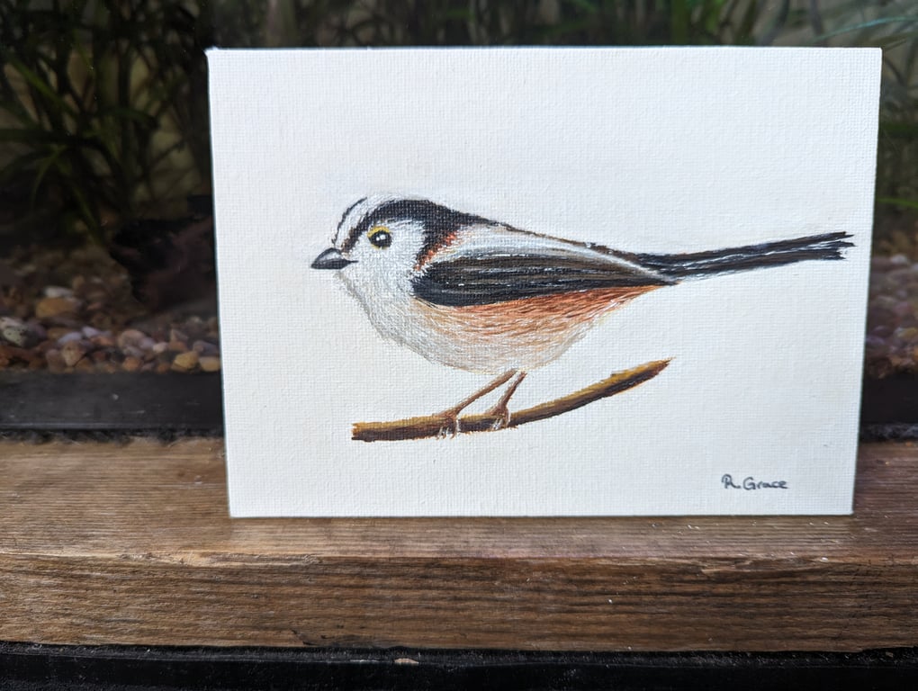 Long-Tailed Tit Painting (with hanger)