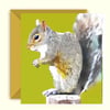 Grey Squirrel Birthday Card