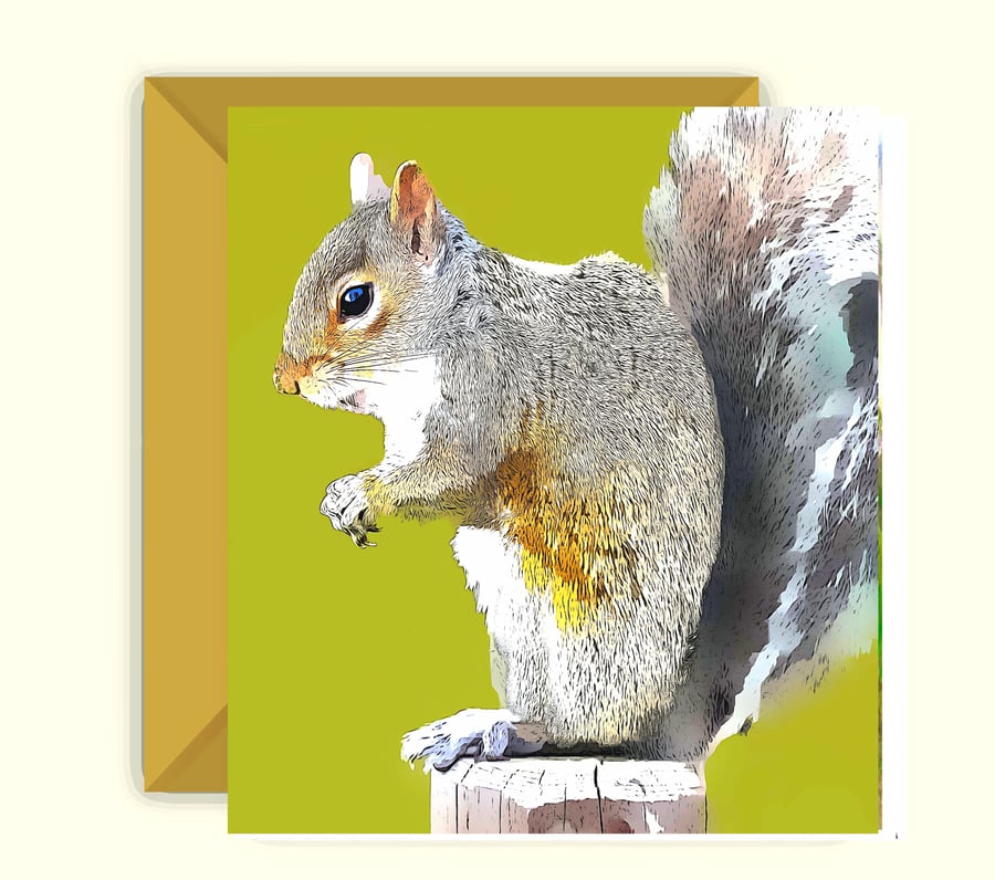Grey Squirrel Greeting Card