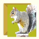 Grey Squirrel Greeting Card