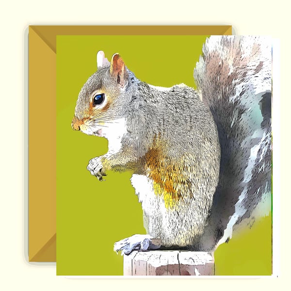 Grey Squirrel Greeting Card