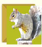 Grey Squirrel Greeting Card