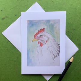 White chicken - blank greeting card or notelet 