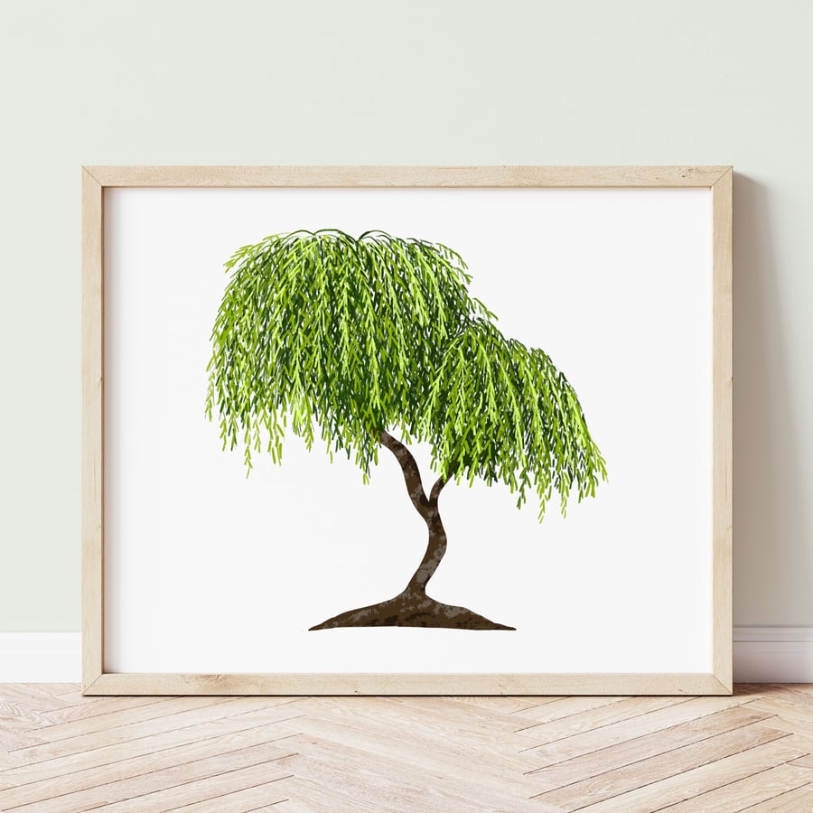 Weeping Willow Tree Art Print - Botanical Print - Illustrated Art Print