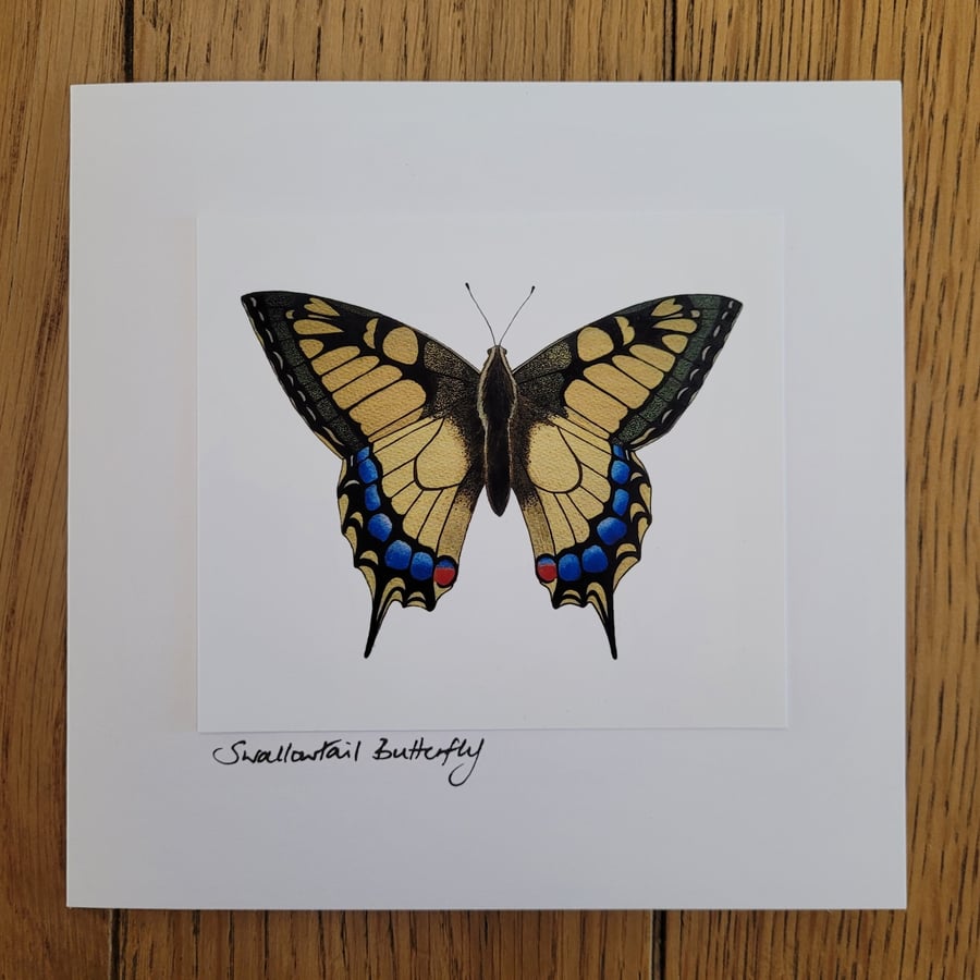 Swallowtail Butterfly Card