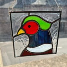 Pheasant 