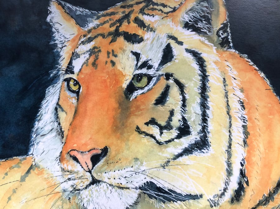 A4 or A3 mounted print of Tiberius Tiger  from my original watercolour 