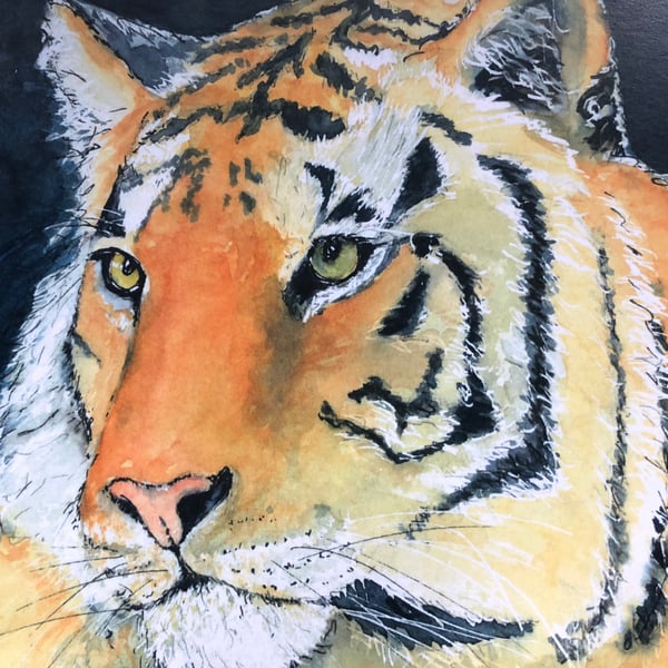 A4 or A3 mounted print of Tiberius Tiger  from my original watercolour 