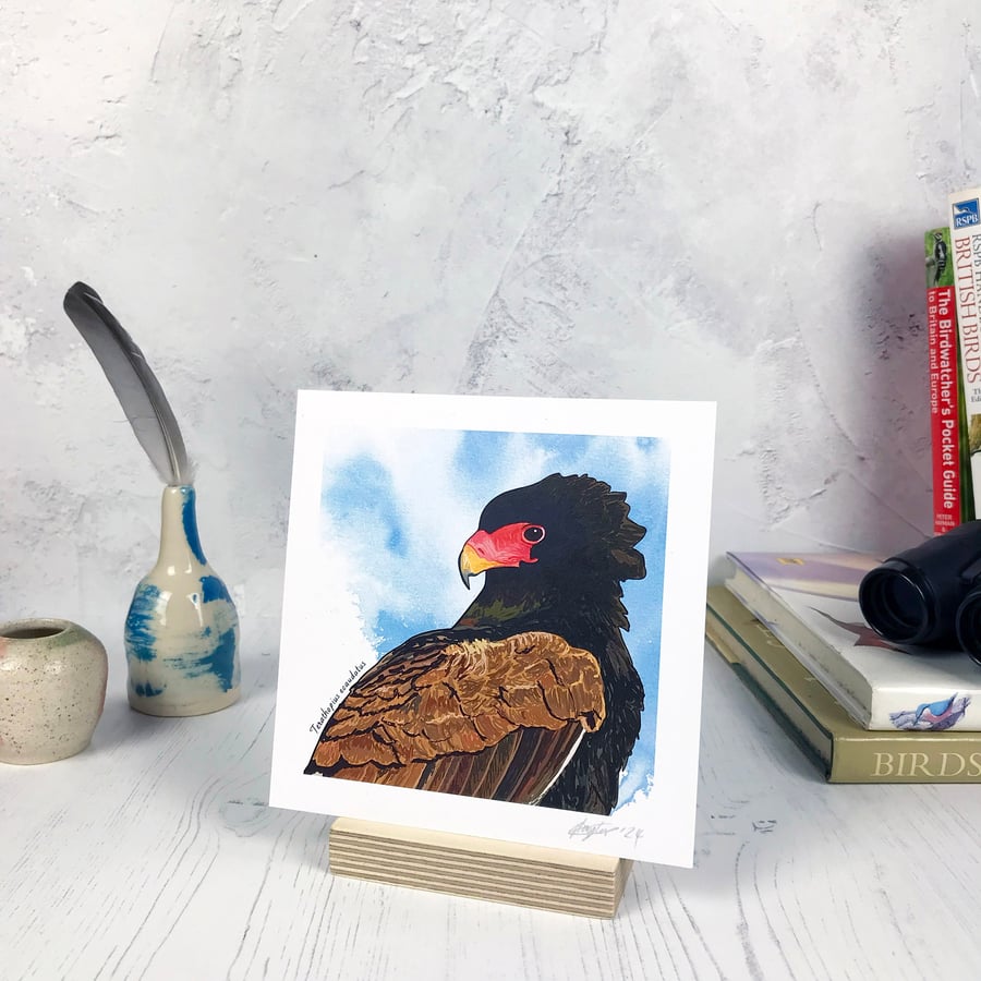 Bateleur Eagle Bird Print