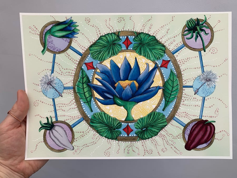Art print. Healing plants mandala. Art work.Hand drawn. Illustration. Flowers