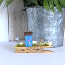Tiny Handmade Coastal Wooden Peg Cottage Decoration 