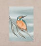 Kingfisher Postcard - Looking Up