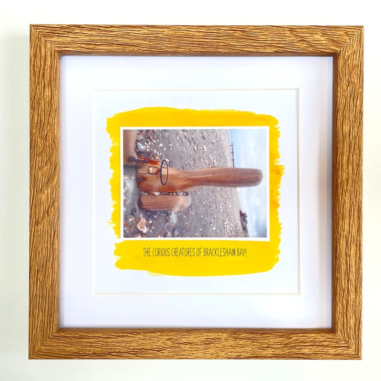 Spectacled Bear; framed image, mounted, printed on card and photographic paper
