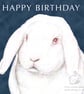 Mr C the White Rabbit - Birthday Card - Image 1