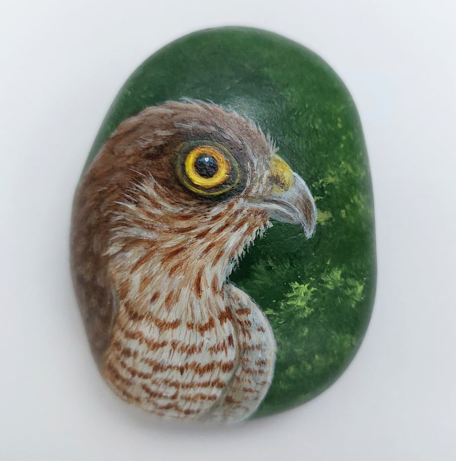 Sparrowhawk hand painted pebble 