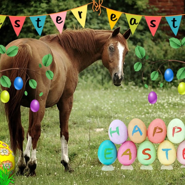 Happy Easter Horse Card A5