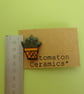 Small ceramic succulent pin badge - Image 5