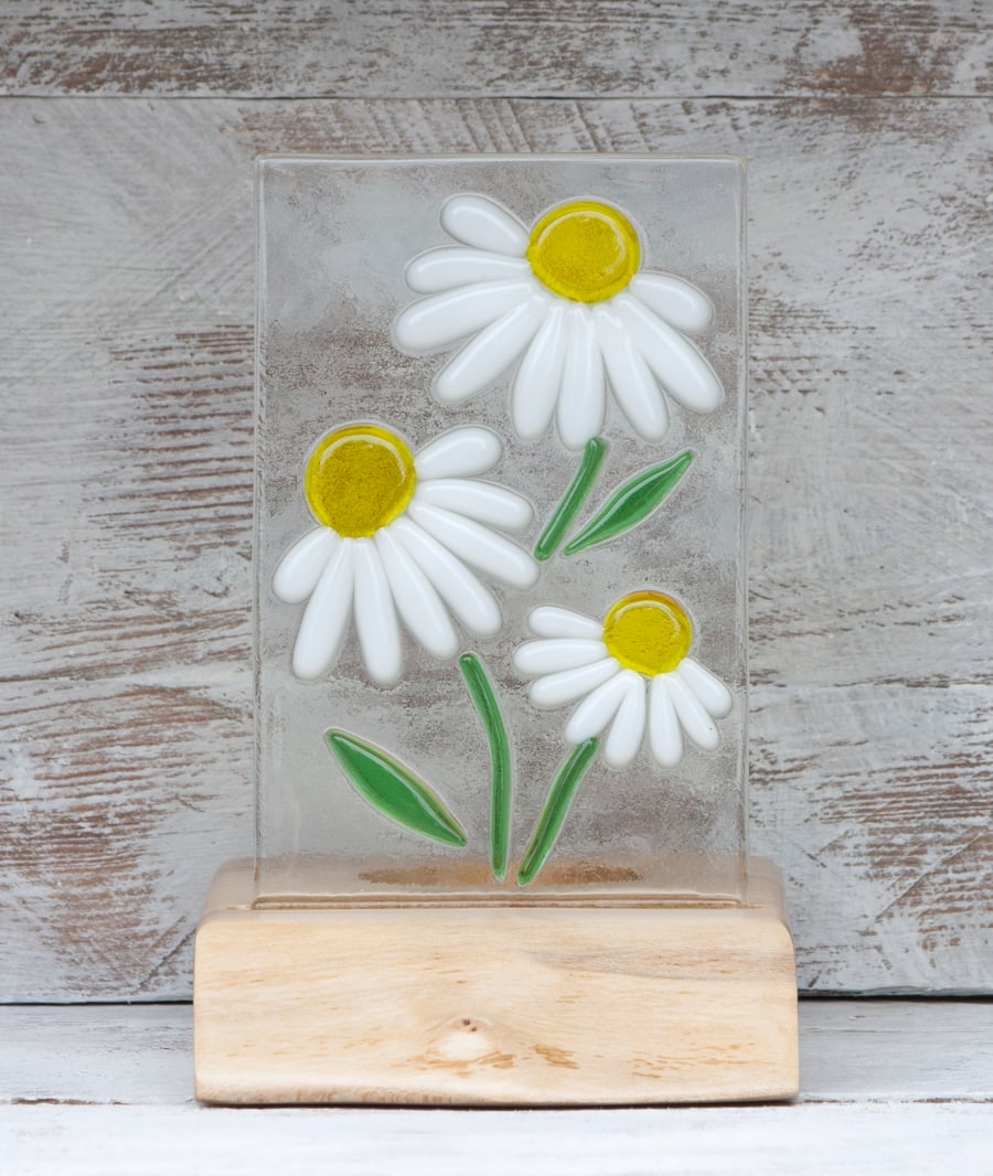 Daisies - Fused Glass Panel set in a Sycamore Tealight Holder