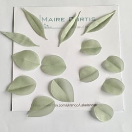 Hand Crafted Silk Pale Eucalyptus leaves