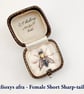 Postcard collection from the Fifty Bees exhibition - Image 5