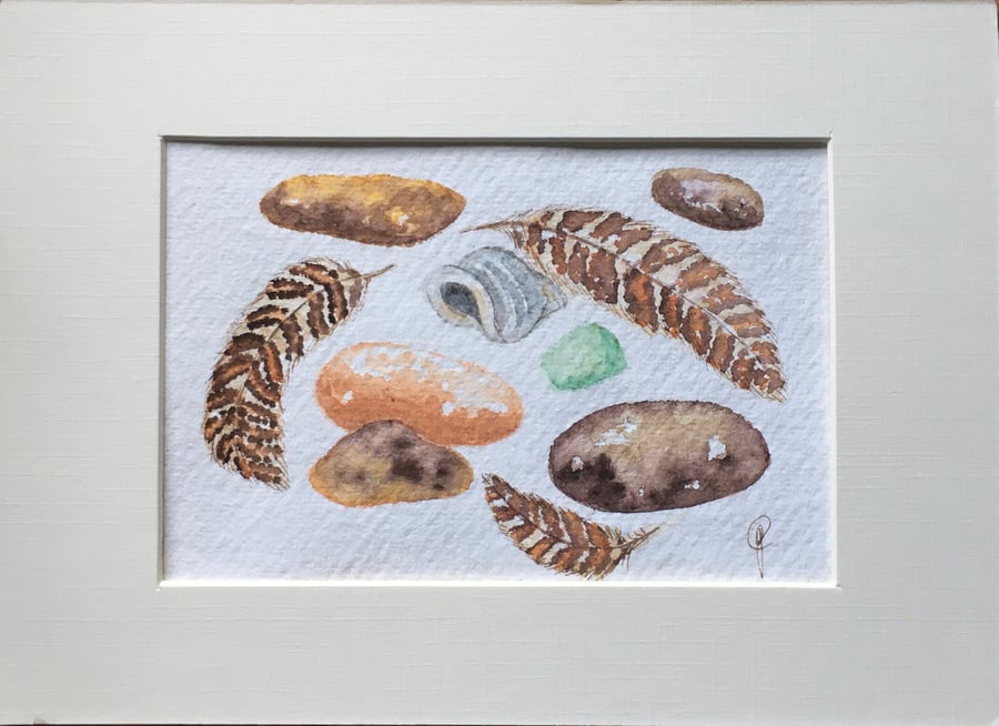 Original watercolour beach finds