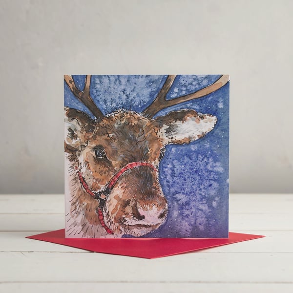 Reindeer Christmas Card