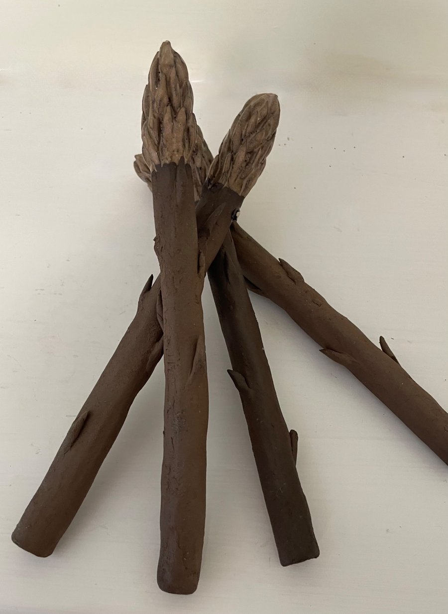 Asparagus spears group of 4
