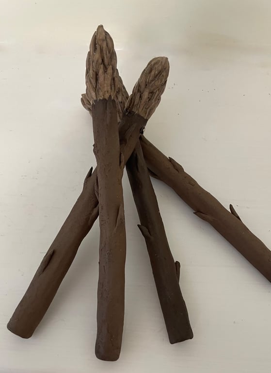 Asparagus spears group of 4