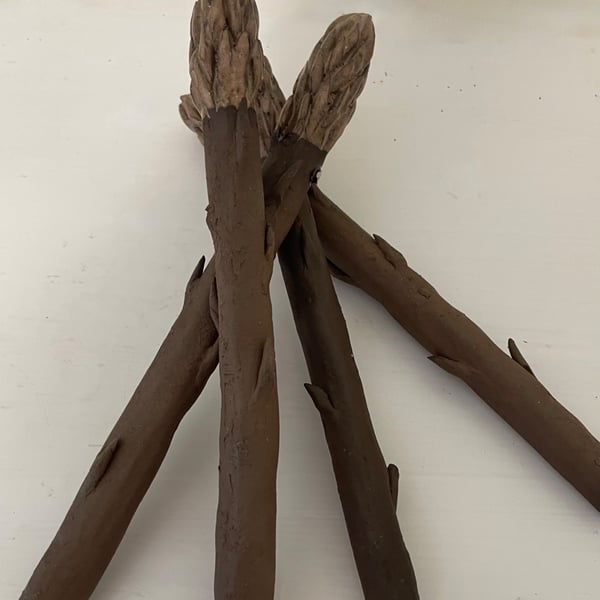 Asparagus spears group of 4