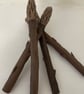 Asparagus spears group of 4