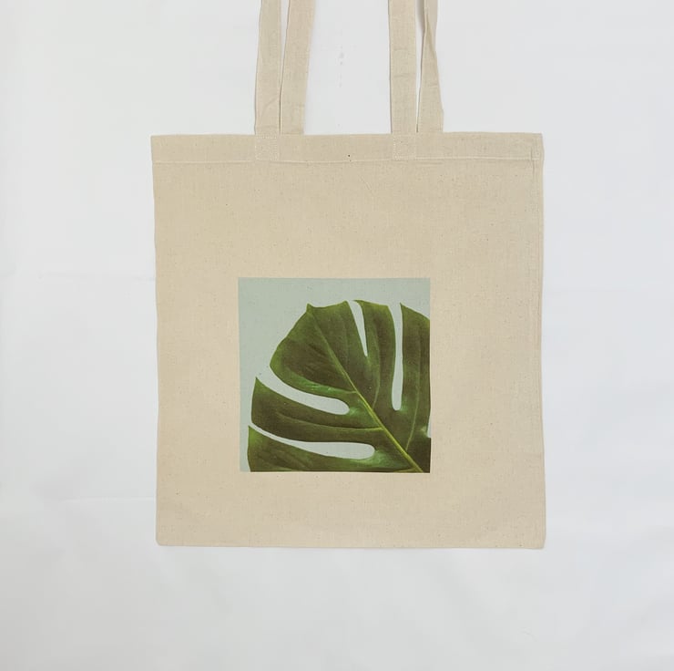 House Plant Aesthetic Minimalist Style Fashionable Cotton Eco Friendly Tote  Bag