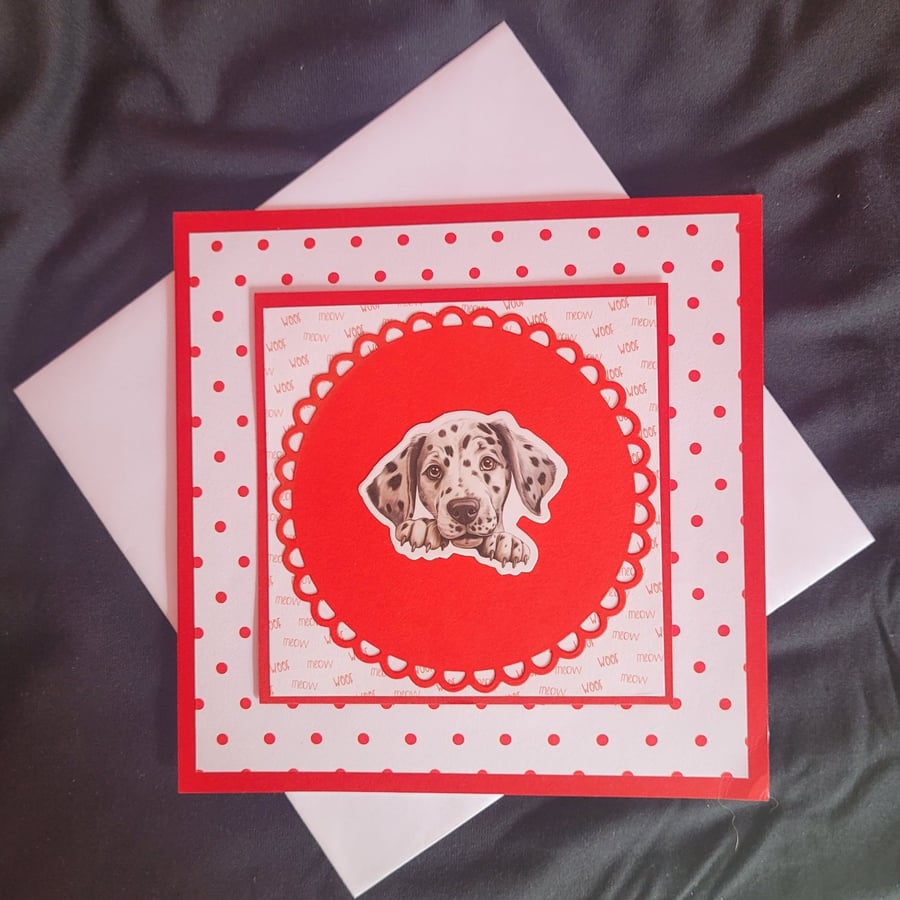 Dalmation blank greetings card