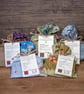 Vegan Collection - Image 1
