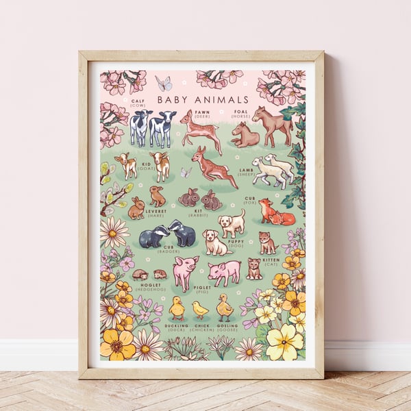 Nature Guide to Baby Animals Illustration Print A4 Unframed 