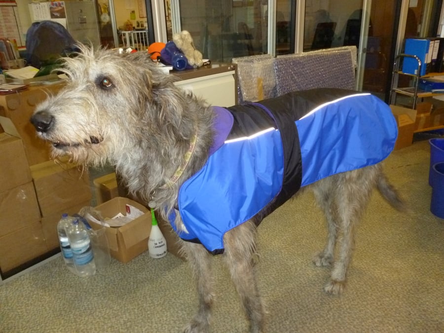 Dog coat, waterproof bespoke XXXXLarge-suitable for wolf hounds, great danes etc
