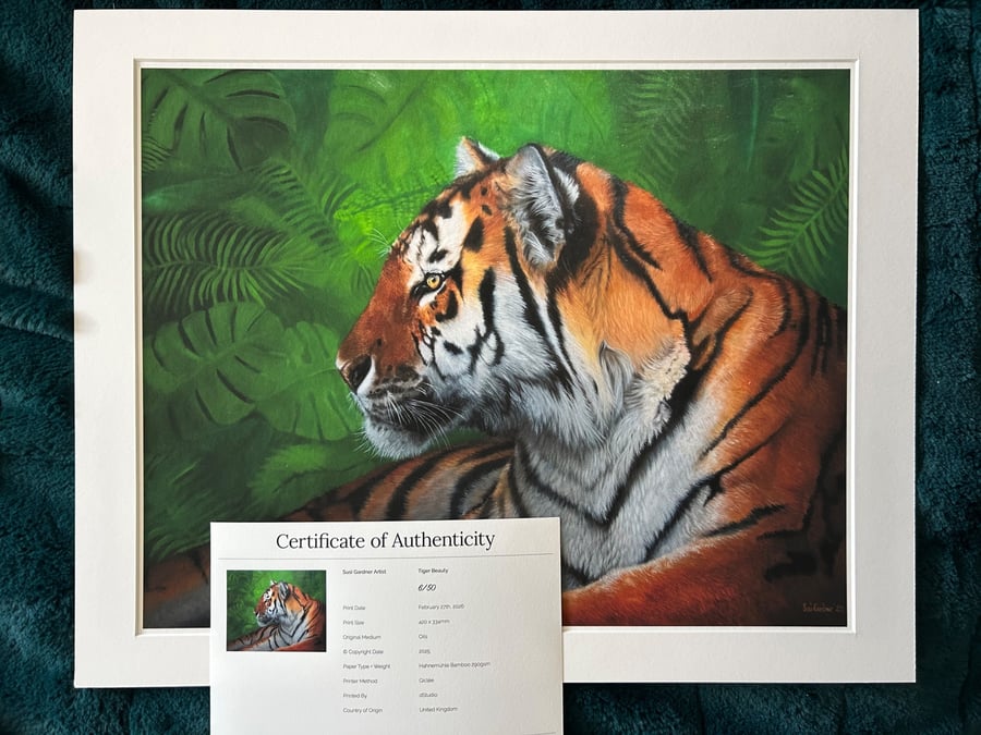 Limited Edition Tiger Beauty (50) 40x50cm